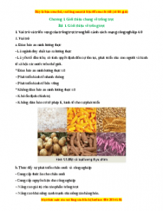 Lý thuyết Công nghệ 10 (Trồng trọt) Kết nối tri thức