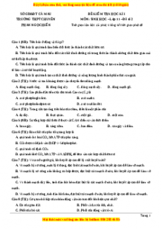 Đề thi học kì 1 Sinh học 11 trường THPT Chuyên Phan Ngọc Hiển - Cà Mau