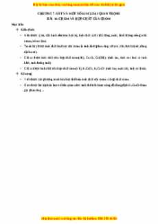 Chuyên đề luyện thi Hóa học 12 năm 2023 cực hay - Phần 7: Sắt Và Một Số Kim Loại Quan Trọng