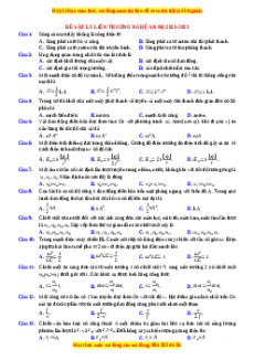 Đề thi thử Vật lí Liên trường Nghệ An năm 2023