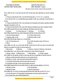 Đề thi học kì 1 Sinh học 12 năm 2023 trường THPT Thanh Miện - Hải Dương