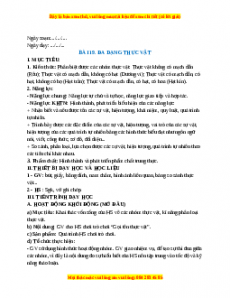 Giáo án Bài 19 KHTN 6 Cánh diều (2024): Đa dạng thực vật