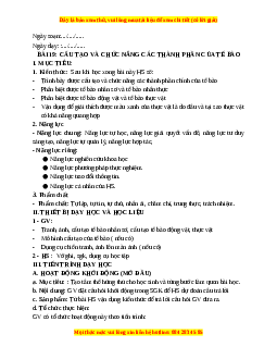 Giáo án Bài 19 KHTN 6 Kết nối tri thức (2024): Cấu tạo và chức năng các thành phần của tế bào