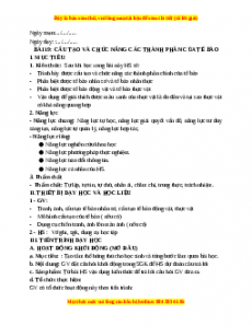 Giáo án Bài 19 KHTN 6 Kết nối tri thức (2024): Cấu tạo và chức năng các thành phần của tế bào