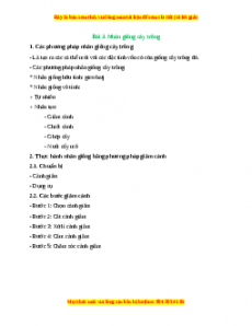 Lý thuyết Công nghệ 7 Cánh diều Bài 3: Nhân giống cây trồng