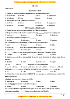 Đề kiểm tra giữa kì 2 Tiếng anh 10 năm 2023 - Đề số 2