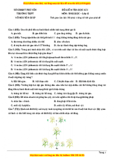 Đề thi học kì 1 Sinh học 12 năm 2023 trường THPT Võ Nguyên Giáp - Phú Yên