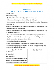 Giáo án Thực vật và động vật quanh em Tự nhiên xã hội 2 Kết nối tri thức