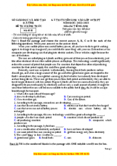 Đề thi vào 10 Tiếng Anh chính thức năm 2022 - 2023 (Đề 25)