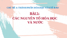 Giáo án Powerpoint Bài 5: Sinh học 10 Cánh diều: Các nguyên tố hóa học và nước