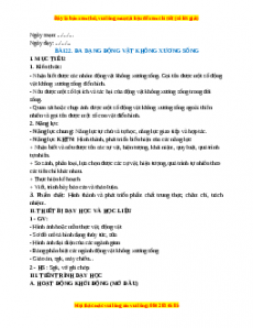 Giáo án Bài 22 KHTN 6 Cánh diều (2024): Đa dạng động vật không xương sống