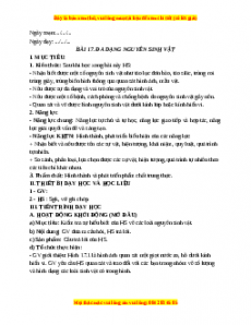 Giáo án Bài 17 KHTN 6 Cánh diều (2024): Đa dạng nguyên sinh vật