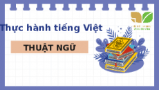 Bài giảng điện tử Thực hành tiếng Việt trang 64 | Kết nối tri thức Ngữ văn 7
