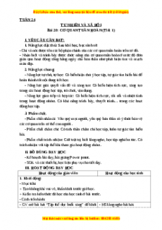 Giáo án Tự nhiên và xã hội 3 Kết nối tri thức Bài 20: Cơ quan tuần hoàn