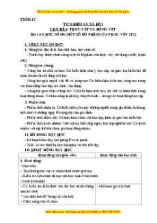 Giáo án Tự nhiên và xã hội Bài 14: Chức năng một số bộ phận của thực vật