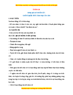 Giáo án HĐTN  1 Cánh diều Tuần 28