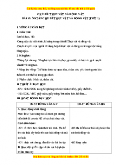 Giáo án Bài 19: Ôn tập chủ đề thực vật và động vật Tự nhiên và xã hội lớp 3 Chân trời sáng tạo
