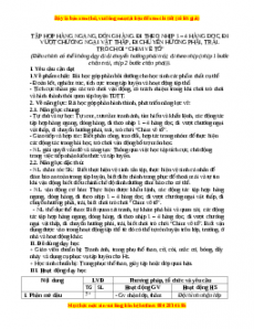 Giáo án Tập hợp hàng ngang, dóng hàng. Đi theo nhịp 1-4 hàng dọc. Đi VC ngại vật thấp. Đi chuyển hướng trái, phải Gdtc 3 Chân trời sáng tạo