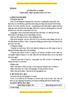 Giáo án Trao đổi thực hành giao lưu (Tiết 1) Tiếng việt 3 Cánh diều