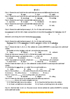 Đề thi giữa kì 1 Tiếng anh 12 năm 2022 - 2023 (Đề 3)