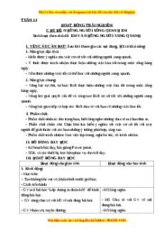 Giáo án HĐTN lớp 3 Tuần 14 Cánh diều: Em và những người xung quanh