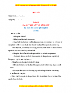 Giáo án TNXH 1 Kết nối tri thức Tuần 19