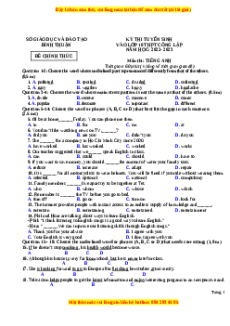 Đề thi vào 10 Tiếng Anh chính thức năm 2022 - 2023 (Đề 29)
