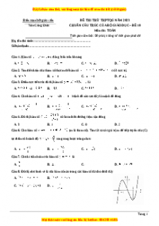 Đề thi thử THPT Quốc Gia môn Toán có đáp án (đề 10 )  - thầy Trần Công Diệu