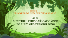 Giáo án Powerpoint Bài 3: Sinh học 10 Cánh diều: Giới thiệu chung về các cấp độ tổ chức của thế giới sống