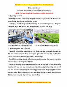 Lý thuyết KTPL 10 Kết nối tri thức (cả năm)