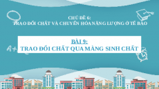Giáo án Powerpoint Bài 9: Sinh học 10 Cánh diều: Trao đổi chất qua màng sinh chất