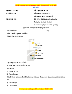 Đề thi cuối kì 2 Tin học lớp 3 Kết nối tri thức (Đề 4)