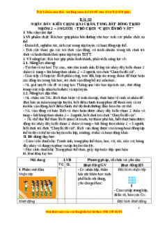 Giáo án Nhảy dây kiểu cụm hai chân Gdtc 3 Chân trời sáng tạo