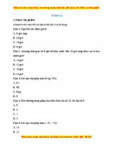 Bài tập cuối tuần Toán lớp 2 Tuần 23 Chân trời sáng tạo (có lời giải)