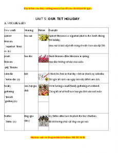 Unit 6: OUR TET HOLIDAY - Luyện chuyên sâu Ngữ pháp và Bài tập tiếng Anh 6