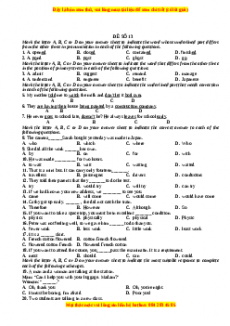 Đề thi trắc nghiệm Tiếng anh 10 năm 2022 - 2023 (Đề 13)