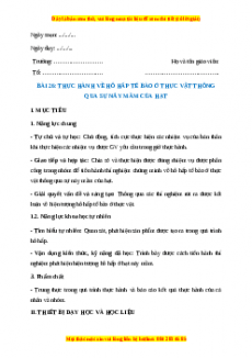 Giáo án Bài 26 Sinh học 7 Chân trời sáng tạo (2024): Thực hành về hô hấp tế bào ở thực vật thông qua sự nảy mầm của hạt