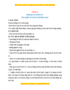 Giáo án HĐTN  1 Cánh diều Tuần 3