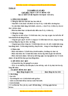 Giáo án Tự nhiên và xã hội 3 Kết nối tri thức Bài 13: Một số bộ phận của thực vật