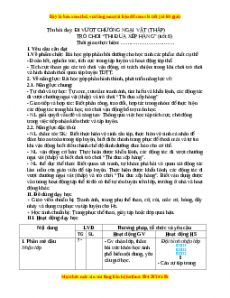 Giáo án Đi vượt chướng ngại vật (Thấp) Gdtc 3 Chân trời sáng tạo