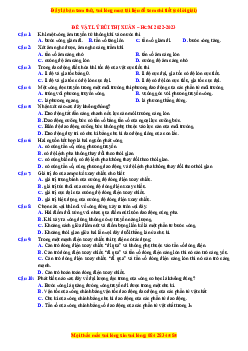 Đề thi thử Vật lí trường Bùi Thị Xuân - HCM năm 2023