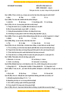 Đề thi học kì 1 Sinh học 11 Sở GD_ĐT Nam Định