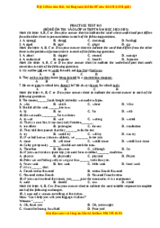 Đề luyện thi vào 10 môn Tiếng anh năm 2023 có đáp án (Đề 13)