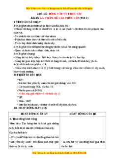 Giáo án Bài 15: Lá, thân, rễ của thực vật Tự nhiên và xã hội lớp 3 Chân trời sáng tạo
