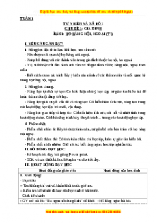 Giáo án Tự nhiên và xã hội 3 Cánh diều Bài 1: Họ hàng nội, ngoại
