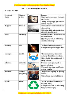 Unit 11: OUR GREENER WORLD- Luyện chuyên sâu Ngữ pháp và Bài tập tiếng Anh 6