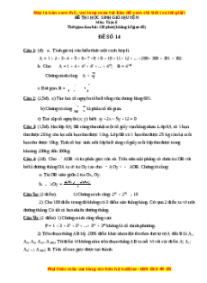Đề chọn HSG môn Toán 6 năm 2022 - 2023 có đáp án ( Đề 14 )