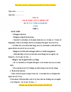 Giáo án TNXH 1 Kết nối tri thức Tuần 20