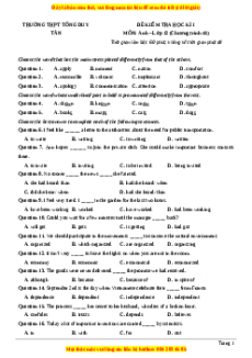 Đề thi học kì 1 Tiếng anh 12 năm 2022 - 2023 (Đề 21)
