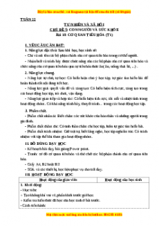 Giáo án Tự nhiên và xã hội 3 Kết nối tri thức Bài 18: Cơ quan tiêu hóa